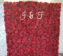 red-rose-flower-wall-backdrop-1