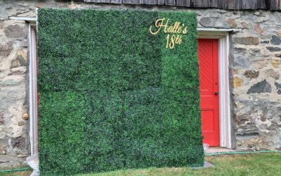 Green Boxwood Flower Wall Rental Guide in Florida