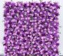 purple-flower-wall